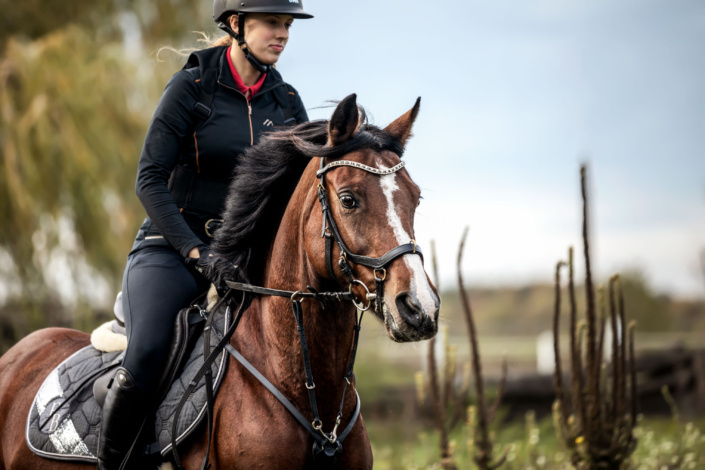 Geländelehrgang Reiterhof Schenkenhorst September 2019