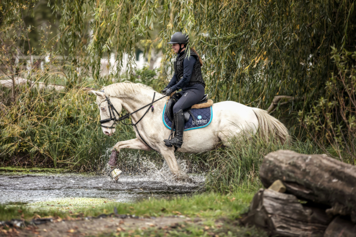 Geländelehrgang Reiterhof Schenkenhorst Oktober 2019