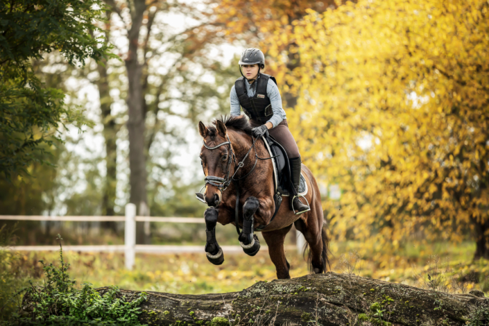 Geländelehrgang Reiterhof Schenkenhorst Oktober 2019