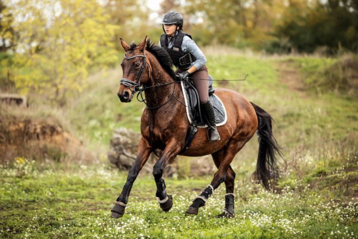 Geländelehrgang Reiterhof Schenkenhorst Oktober 2019
