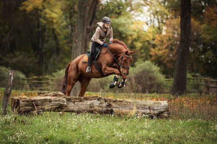Geländelehrgang Reiterhof Schenkenhorst Oktober 2019