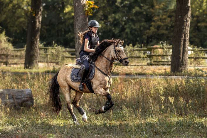 Geländelehrgang Reiterhof Schenkenhorst September 2019
