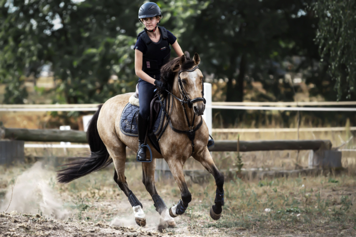Geländelehrgang Reiterhof Schenkenhorst September 2019