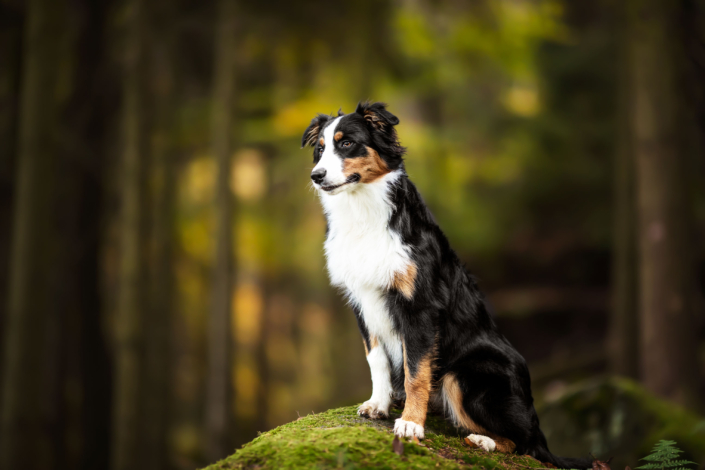 Larissa Groth Photography Sächsische Schweiz